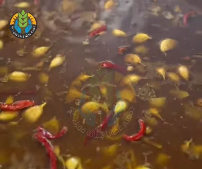 Ataya Charitable Kitchen continues its work amid war and starvation