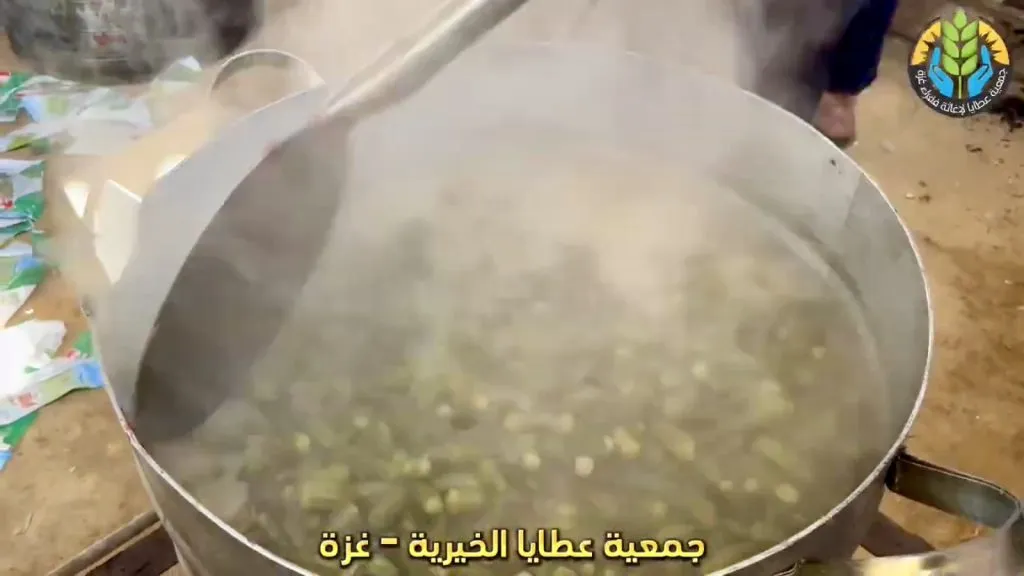 نزرع الأمل ونرسم البسمة – توزيع وجبات غذائية على النازحين